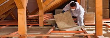 Best Commercial Insulation Services  in Pierz, MN